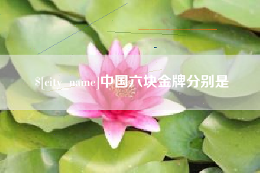 阿勒泰中国六块金牌分别是