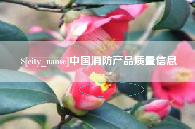 阿勒泰中国消防产品质量信息
