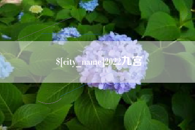 阿勒泰2022九宫