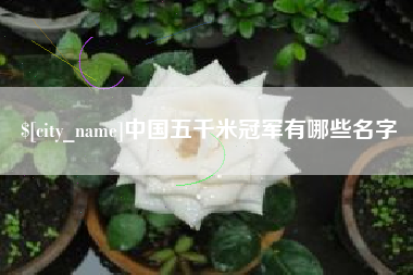 阿勒泰中国五千米冠军有哪些名字