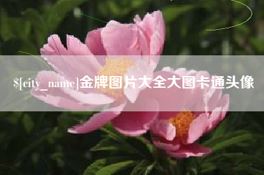 阿勒泰金牌图片大全大图卡通头像
