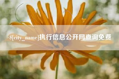 阿勒泰执行信息公开网查询免费